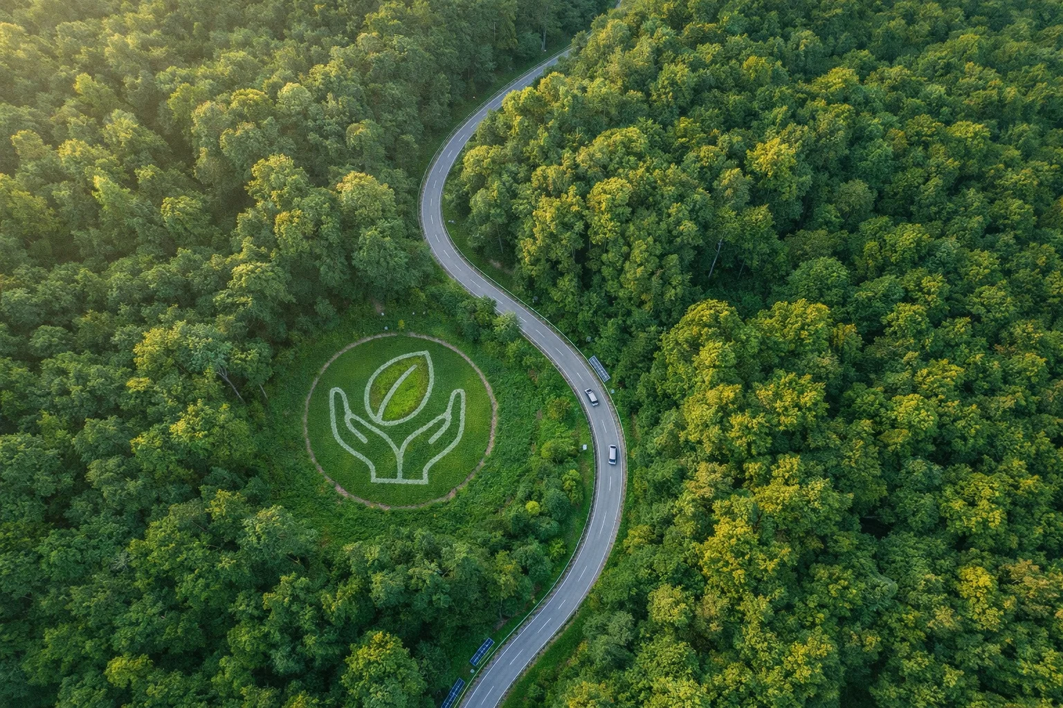 Illustration d’une route traversant une forêt